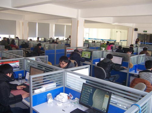 国子软件官网 专业信息系统集成服务，助力企业数字化升级