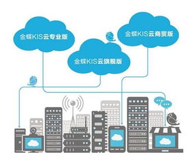 青海零售软件应用大全 西宁易门供应与软件开发指南